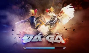 Đá Gà 3D Tại TT128