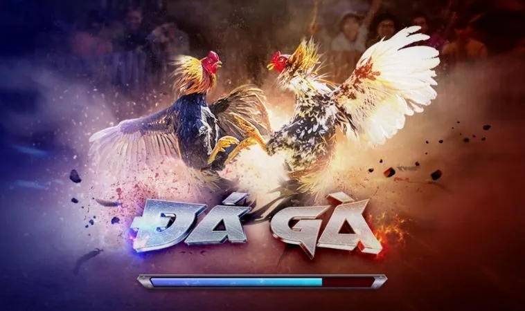 Đá Gà 3D Tại TT128