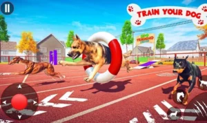 Đua Chó Tại TT128