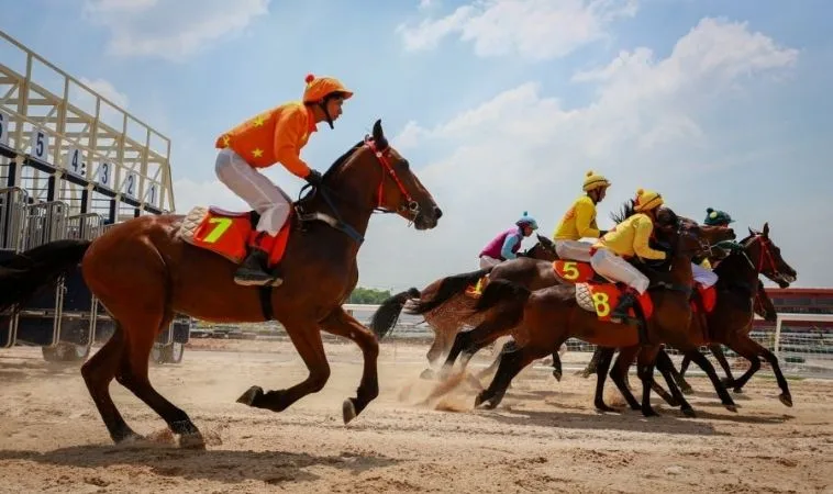 Kinh Nghiệm Tìm Hiểu Cá Cược Đua Ngựa TT128 Giúp Bạn Dễ Dàng Chiến Thắng 1 đua ngựa TT128